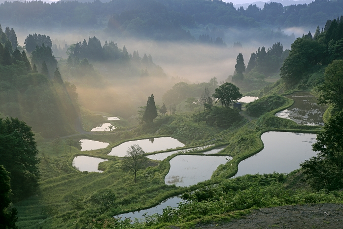 Terraced rice fields of Gamo in the morning mist Niigata Prefecture