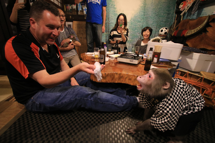 Japanese Monkeys Provide Hospitality Izakaya in Utsunomiya is the talk of the town October 22, 2016, Utsunomiya, Japan   A Japanese macaque Fuku  meaning happiness  gives a table napkin to a guest at an izakaya, Japanese pub  Kayabuki  in Utsunomiya, 100km north of Tokyo on Saturday, October 22, 2016. The pub master Kaoru Otsuka trains Japanese macaques to help him and show their entertainment skills to attract customers including lots of foreign tourists.    Photo by Yoshio Tsunoda AFLO  LWX  ytd 