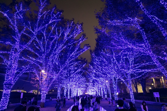 Blue Cave  Returns to Shibuya Crowded with visitors Visitors enjoy the Blue Grotto Illumination event in Shibuya on November 22, 2016, Tokyo, Japan. There are about 5,500 blue LED lights lighting up the 750 meters from Yoyogi Park to Shibuya Park Street until January 9, 2017. Tokyo s illuminations are popular date spots for couples after work during the Christmas season.  Photo by Rodrigo Reyes Marin AFLO 
