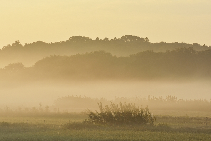 Chiba, the countryside and morning mist