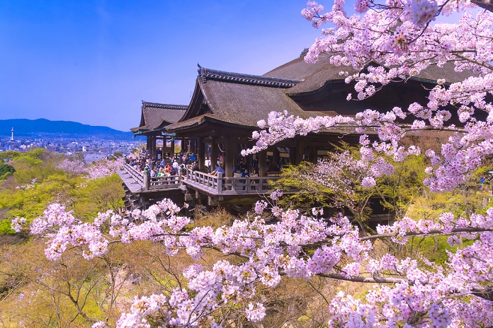Kiyomizu-dera Temple in Spring with Cherry Blossoms, Kyoto