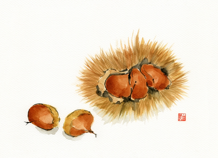 Illustration Chestnuts