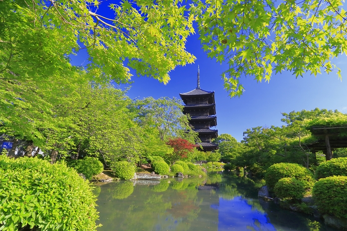 Toji Temple in Spring with Beautiful Fresh Greenery, Kyoto