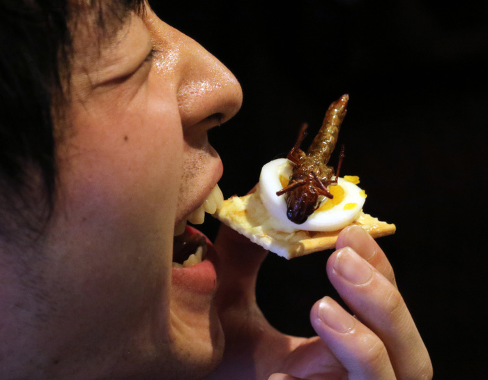 Entomophagy Event in Tokyo Celebrate Christmas December 24, 2016, Tokyo, Japan   A man eats a canape with a locust at a Christmas party to eat insect foods in Tokyo on Saturday, December 24, 2016. Some 30 people gathered to eat insect foods on the Christmas Eve as UN FAO reported that eating insects could help boost nutrition and reduce pollution.   Photo by Yoshio Tsunoda AFLO  LWX  ytd 
