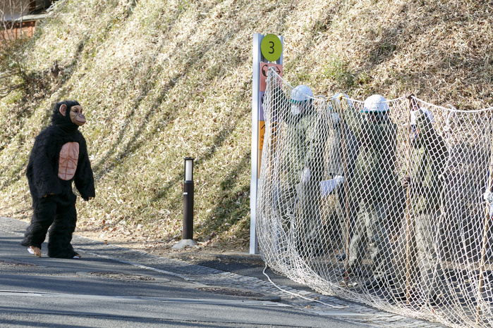 Chimpanzee escapes  Capture training at Tama Zoological Park A zookeeper wearing a chimpanzee costume tries to escape while zookeepers hold up a net in an attempt to capture it during an Escaped Animal Drill at Tama Zoological Park on February 7, 2017, Tokyo, Japan. The annual escape drill is held in Tokyo zoos for zookeepers to practice how they would need to react in the event of a natural disaster or another emergency. This year a member of staff wearing a chimpanzee costume was captured and subdued by other zookeepers before it could escape out onto the streets of Tokyo. During the drill, participants used large nets, sticks and tranquilizer guns to make sure the monkey didn t get away.  Photo by Rodrigo Reyes Marin AFLO 