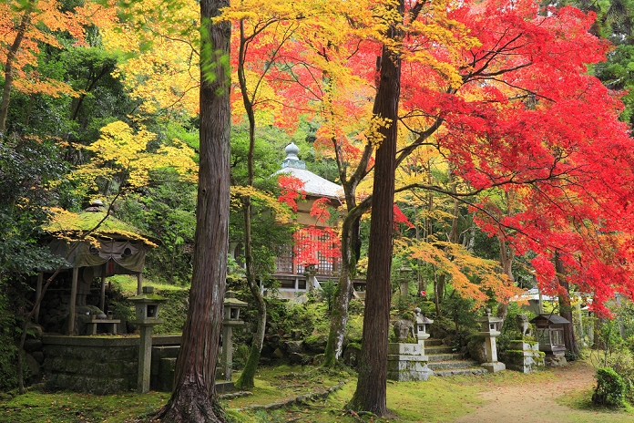 Autumn leaves of Benzaiten in Gohodo, Kyoto