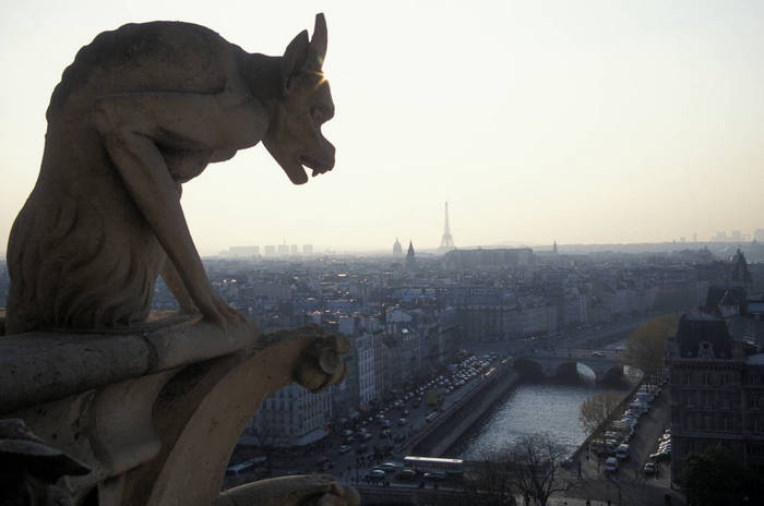Paris A gargoyle on top of the Notre Dame Cathedral, Paris, France                         