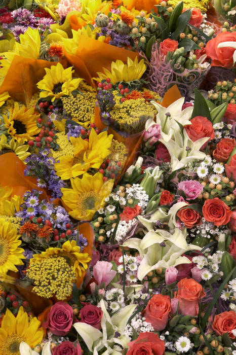 Buches of fresh cut flowers. Bunches of cut flowers including sunflowers, lilies, and roses in the floral section of a grocery store.