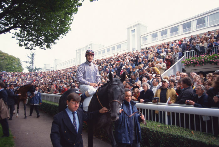 Olivier Peslier and Sagamix, 
October 4, 1998 - Horse Racing : 
Olivier Peslier and Sagamix in the paddock during the Prix de L''Arc De Triomphe run at Longchamp in Paris.
(Photo by Masakazu Watanabe/AFLO SPORT) [0005]