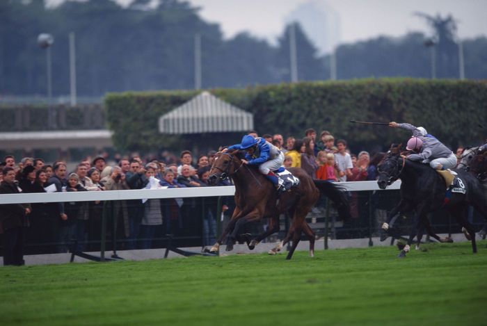 Olivier Peslier and Sagamix, 
October 4, 1998 - Horse Racing : 
Olivier Peslier on his way to his third consecutive win on Sagamix #8 (Right Pink Cap)  in the Prix de L''Arc de Triomphe at Longchamp in Paris. 
(Photo by Masakazu Watanabe/AFLO SPORT) [0005]