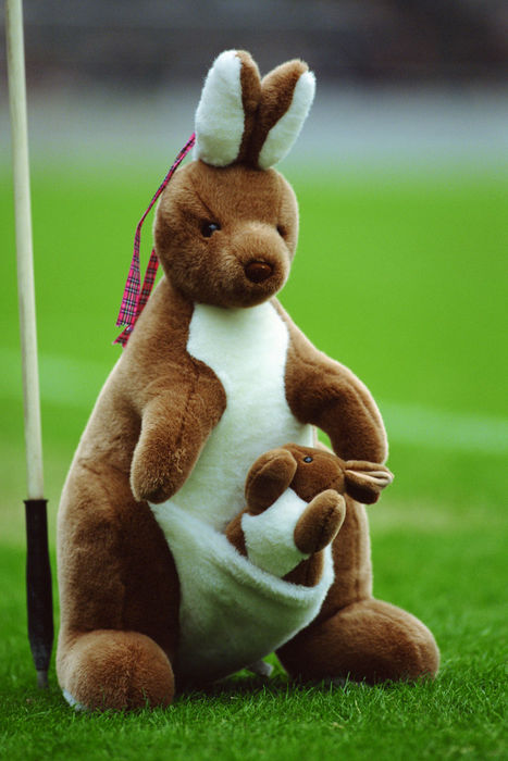 Wallabies mascot,
OCTOBER 28, 2000 - Rugby : A detailed shot of the Wallabies mascot during the UNICEF Charity match between Australia (Wallabies) 64-13 President's XV at Prince Chichibu Memorial Rugby Stadium in Tokyo, Japan.
 (Photo by Jun Tsukida/AFLO SPORT) [0003]