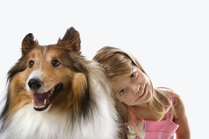 Female child Caucasian with Collie dog.