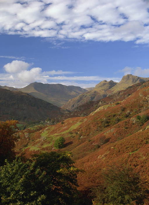 586 29 Langdale valley and Pikes with Bowfell and Crinkle Crags beyond, Elterwater, Lake District National Park, Cumbria, England, United Kingdom, Europe
