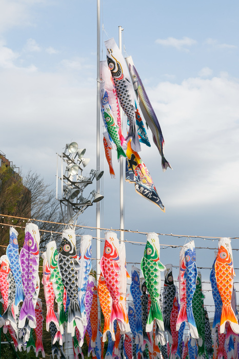 Tokyo Tower displays 333 Flying Carp to celebrate Children s Day 333 carp shaped Koinobori windsocks on display outside Tokyo Tower on April 12, 2017, Tokyo, Japan. This year, Tokyo Tower is celebrating Children s Day, which falls on May 5th, with a display of hundreds of colorful Koinobori. Carp are consider strong and energetic in nature and the Koinobori streamers are traditionally displayed by families with boys. The event runs until May 7th.  Photo by Rodrigo Reyes Marin AFLO 