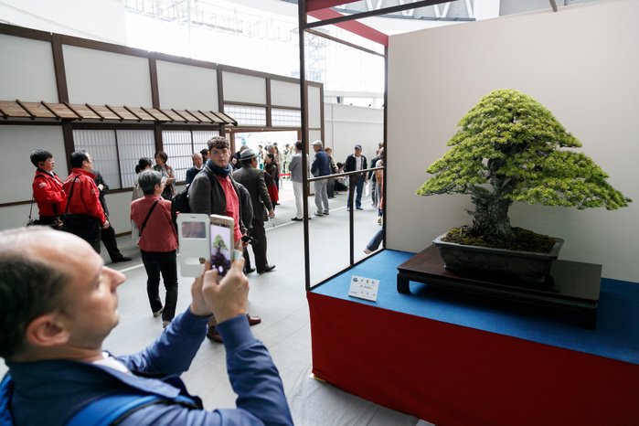The 8th World Bonsai Convention in Saitama A man takes pictures to a bonsai during The 8th World Bonsai Convention in Saitama on April 28, 2017 in Japan. The event runs for three days until April 30 at Saitama Super Arena and other venues in the city. Saitama City is the home of Omiya Bonsai Village an area where many Bonsai growers moved from Tokyo to settle after the Great Kanto Earthquake in 1923. The 1st World Bonsai Convention was also held in Saitama in 1989 and this year s event is expected to attract international visitors from every continent.  Photo by Rodrigo Reyes Marin AFLO 