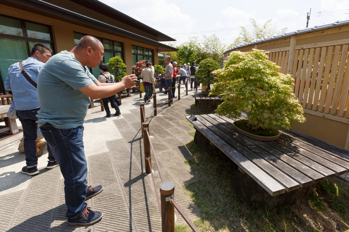 The 8th World Bonsai Convention in Saitama Visitors gather at the Omiya Bonsai Art Museum in Saitama on April 28, 2017 in Japan. The 8th World Bonsai Convention runs for three days until April 30 at Saitama Super Arena and other venues in the city. Saitama City is the home of Omiya Bonsai Village an area where many Bonsai growers moved from Tokyo to settle after the Great Kanto Earthquake in 1923. The 1st World Bonsai Convention was also held in Saitama in 1989 and this year s event is expected to attract international visitors from every continent.  Photo by Rodrigo Reyes Marin AFLO 