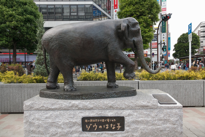 Memorial statue for Hanako the elephant erected outside Kichijoji Station A memorial statue of Hanako, Inokashira Park Zoo s elephant, is displayed in front of Kichijoji Station on May 7, 2017, Tokyo, Japan. One year after her death, a 1.5m tall 2.5m long statue of the Asian Elephant was unveiled last Friday, May 5, outside Kichijoji Station. Hanako who died on May 26, 2016, aged 69, was the oldest elephant in Japan. She was originally a gift from the Thai government in 1949. The statue was funded by private donations.  Photo by Rodrigo Reyes Marin AFLO 