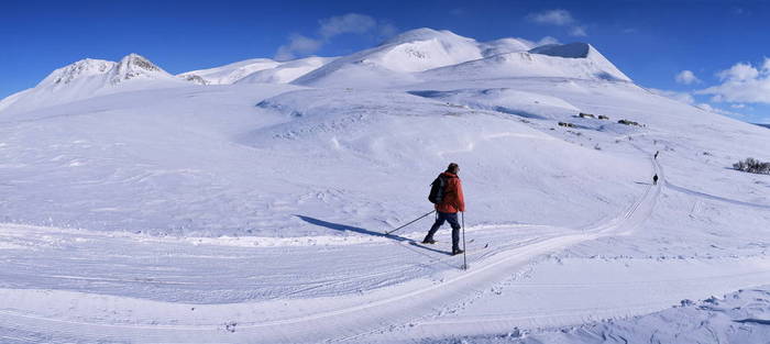 Track from Smuksjoseter towards Peer Gynt-hytta and Mount Smiubelgen, Rondane National Park, Oppland, Norway, Scandinavia, Europe