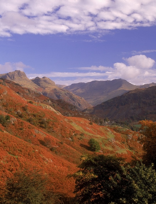 Langdale valley and Pikes with Bowfell & Crinkle Crags beyond, Elterwater, Cumbria, England