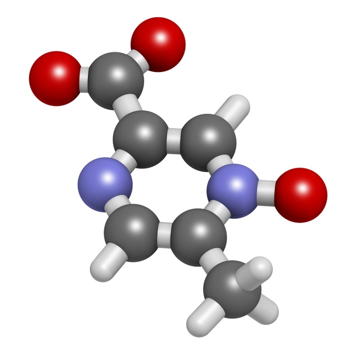 Acipimox molecule, illustration Acipimox hypertriglyceridemia drug molecule, computer illustration. Atoms are represented as spheres with conventional colour coding: hydrogen  white , carbon  grey , nitrogen  blue , oxygen  red .