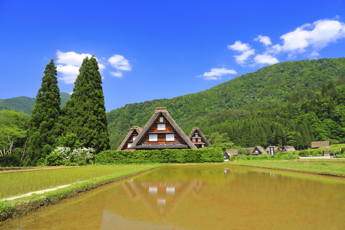 Kancho Gassho-Zukuri Village, Shirakawa-go, Gifu Prefecture, in early summer