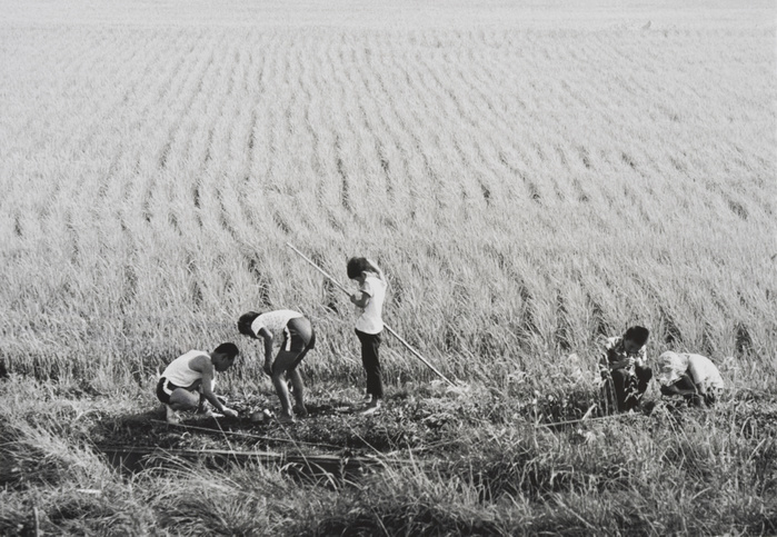 Rural landscape of Aizu area  1975  A rural scene in the Aizu region of Fukushima Prefecture in 1975. Children fishing.
