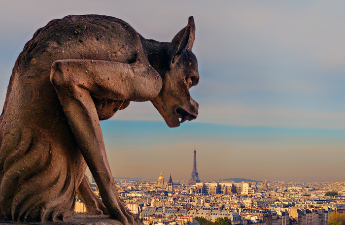 Paris, France Gargoyle on Notre Dame with view of Paris in the background, Paris, France Please note that the view may have changed due to the fire.