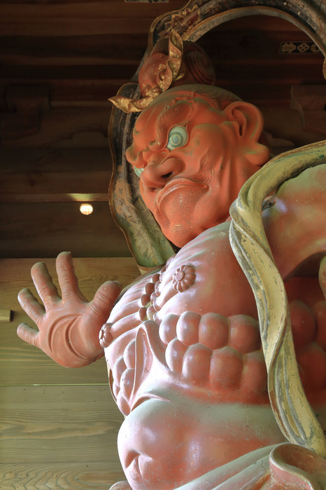 Niou-zo statue of Hyuuga Yakushi (Un-zo), Tanzawa, Kanagawa Prefecture, Japan
