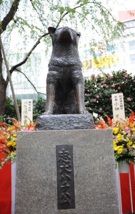 The bronze statue of a dog, affectionately known by Japanese as 