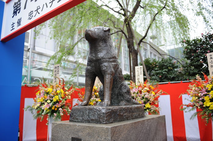 The bronze statue of a dog, affectionately known by Japanese as 