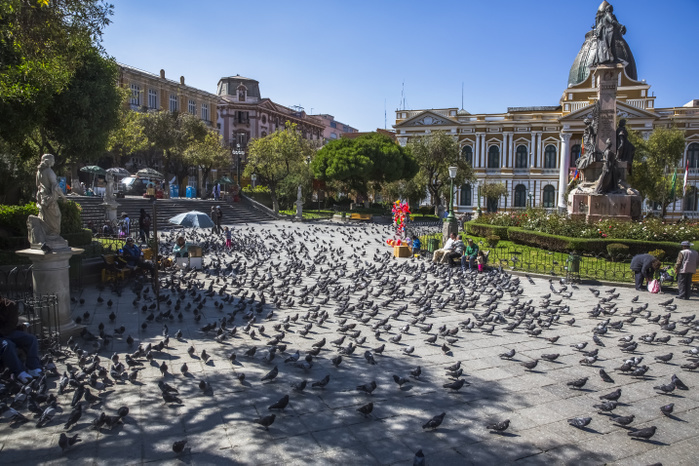 The Presidential Plaza in downtown La Paz, Bolivia is filled with pigeons; La Paz, Bolivia