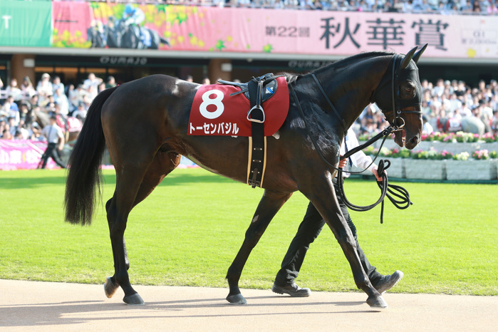 2017 Kyoto Grand Prize  G2  Tosen Basil   Tosen Basil,. OCTOBER 9, 2017   Horse Racing :. Tosen Basil is led through the paddock before the Kyoto Daishoten at Kyoto Racecourse in Kyoto, Japan. Photo by Eiichi Yamane AFLO 