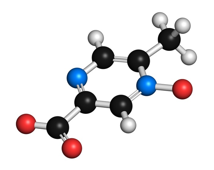 Acipimox hypertriglyceridemia drug molecule. 3D rendering. Atoms are represented as spheres with conventional colour coding: hydrogen (white), carbon (black), nitrogen (blue), oxygen (red).