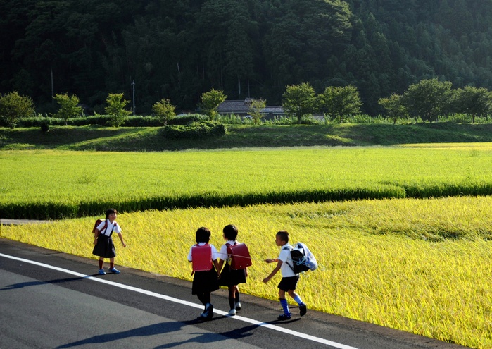 ［Autumn dusk illuminates the rice paddies, illuminating children on their way home from school / Shimane, Japan (Photo by Mainichi Newspaper/AFLO) [2400].
