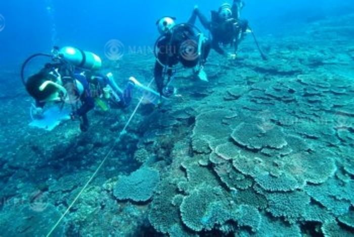 Reef Check: Coral growth and symbiotic organisms are recorded by item. Miyakejima, (Photo by Mainichi Newspaper/AFLO) [2400].