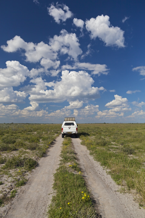 Africa, Botswana, Land vehicle passing through central kalahari game reserve
