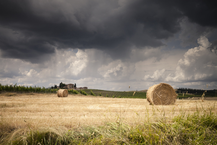 Italy, Tuscany, Chianti, Tuscan landscape with haybales at upcoming thunderstorm