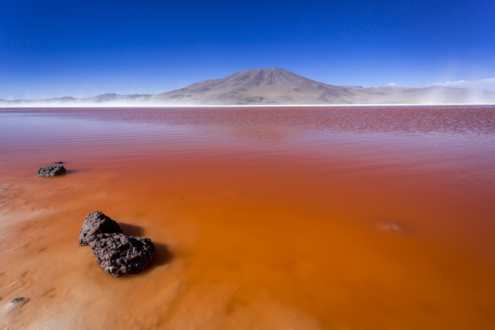 Laguna Colorada, Bolivia South America, Bolivia, Atacama Desert, Altiplano, Laguna Colorada