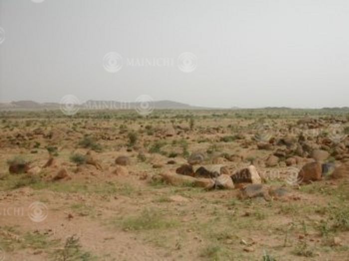Sahara Desert Sudan Sahel The Sudan Sahel region south of the Sahara Desert  Today is Greenery Day , Sudan s Sahel region south of the Sahara Desert, where desertification is the most severe on the African continent  Photo by Mainichi Newspaper AFLO   2400 .