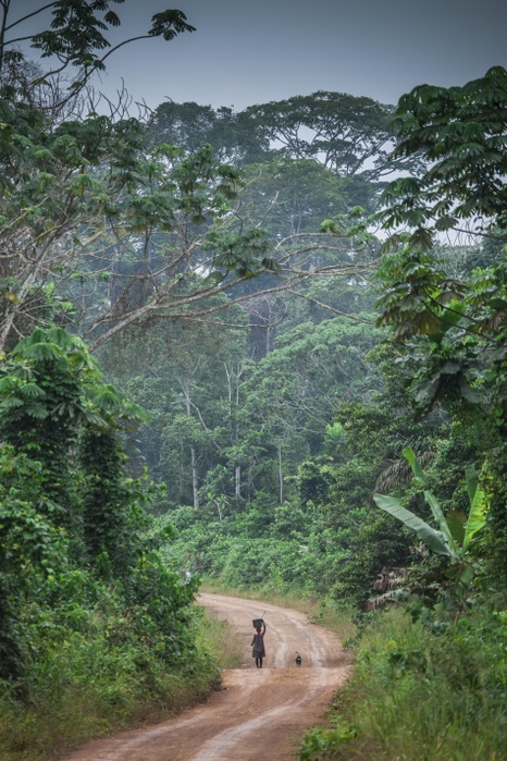 Woman walking on a dirt road, through the rainforest, Campo, Southern Region, Cameroon, Africa