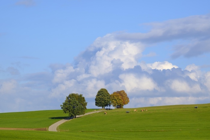 Country road through meadow landscape, cloudy sky, Münsing, Fünfseenland, Upper Bavaria, Bavaria, Germany, Europe