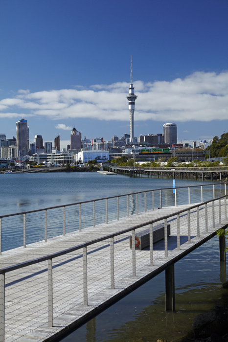 New Zealand Sky Tower, Auckland CBD, and Westhaven Prominade, St Marys Bay, Auckland, North Island, New Zealand