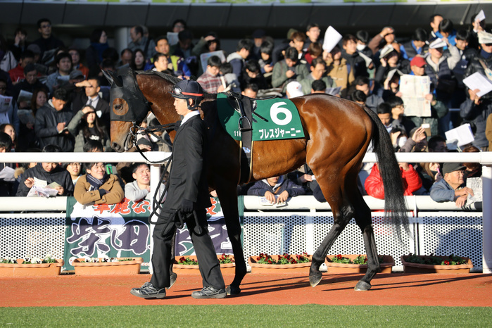 2017 Challenge Cup  G3  Bless Journey Bless Journey,. DECEMBER 2, 2017   Horse Racing :. Bless Journey is led through the paddock before the Challenge Cup at the Hanshin Racecourse in Hyogo, Japan  Photo by Eiichi Yamane AFLO 