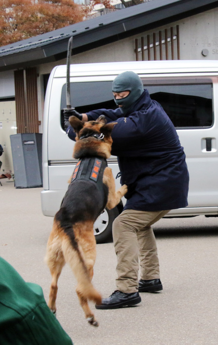 Anti terrorism training at the Ueno Zoo December 4 2017, Tokyo, Japan   A police dog attacks an armed terrorist during an anti terrorism exercise at the Ueno Zoological Garden in Tokyo, on Monday, December 4, 2017. Some 50 police officers and the zoo staffs participated the drill.       Photo by Yoshio Tsunoda AFLO  LWX  ytd  