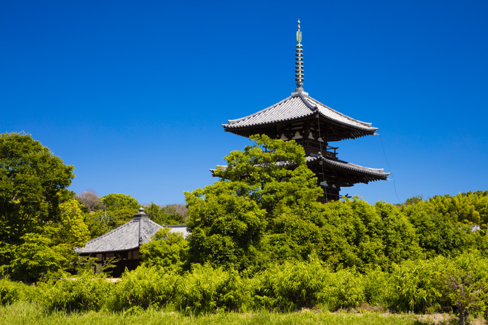 Hokkiji Temple, Nara Prefecture, thick with green