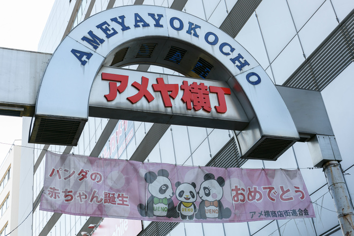Ueno neighborhood celebrates Ueno Zoo s new panda cub A message written in Japanese saying   Congratulations for a new giant panda cub  is seen at the entrance of Ameyoko market  on December 19, 2017, Tokyo, Japan. To celebrate Ueno Zoo s new panda cub, some stores and shops in Ueno are posting congratulatory messages. Approximately 1,400 visitors came to see the cub on the day of her public debut.  Photo by Rodrigo Reyes Marin AFLO 