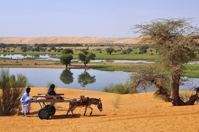 Donkey cart being pushed through the soft sand, Moudjeria, Tagant region, Mauritania, Africa