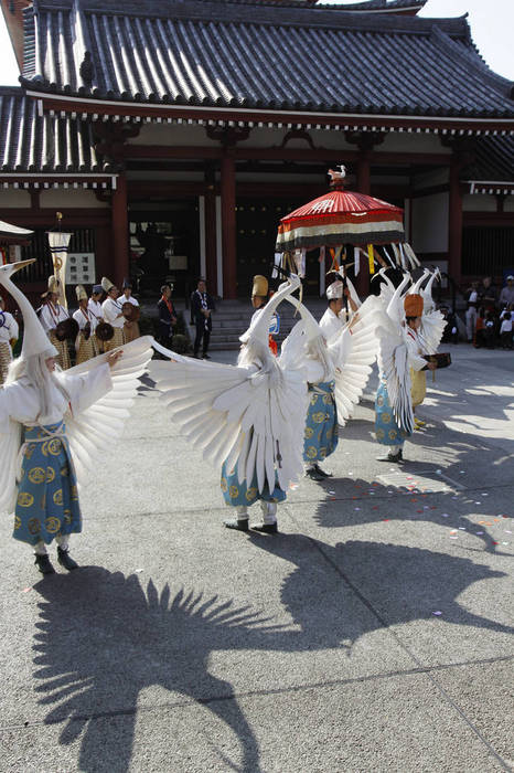 Egret Dance at Sensoji Temple, Tokyo