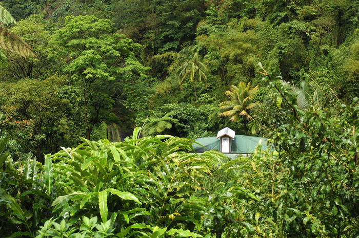 Gardens, Papillote Wilderness Retreat, Roseau, Dominica, Caribbean. Photo by: Christian Heeb