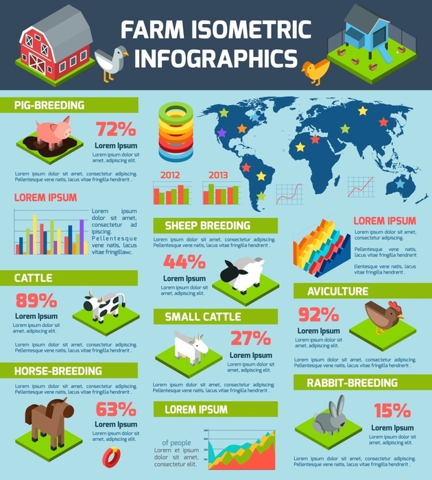 Domestic cattle breeding farm infographic poster Domestic cattle breeding farm infographic poster. Domestic animals breeding and aviculture international farming production distribution statistic infographic report poster abstract isometric vector illustration